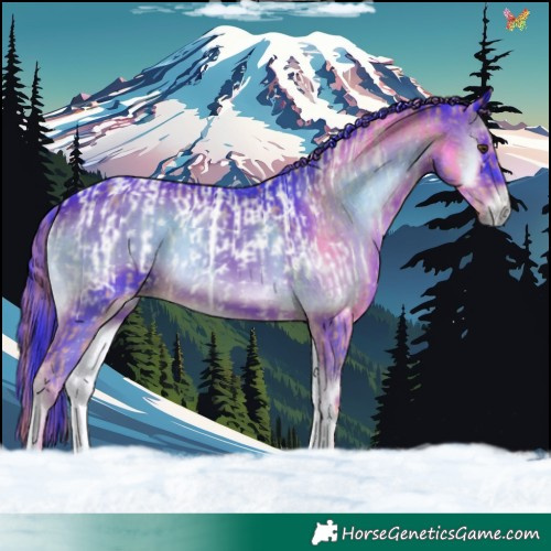 Horse Color:Watercolor Gold Champagne Onyx Blanket and Watercolor Liver Red Onyx