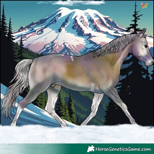 Horse Color:Watercolor Silver Blue Onyx Tobiano