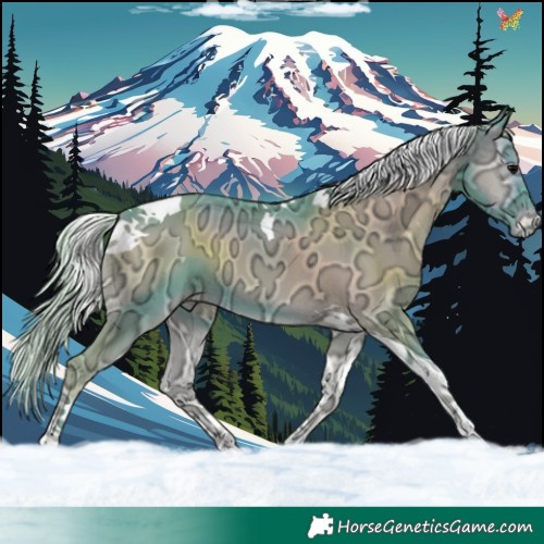 Horse Color:Watercolor Silver Blue Onyx Ice Tobiano Varnish 