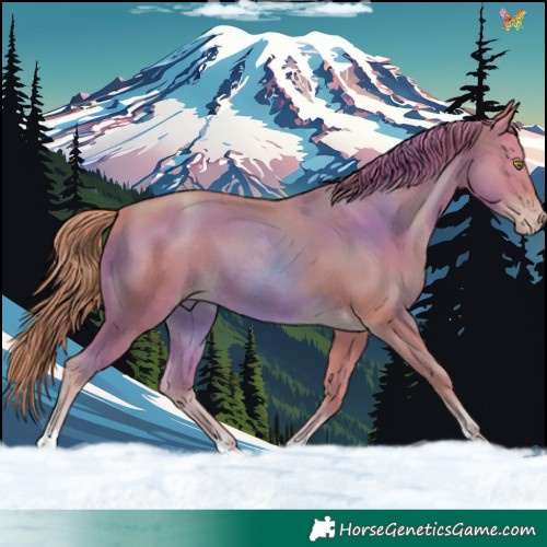 Horse Color:Watercolor Gold Champagne 