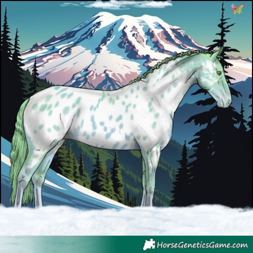 Horse Color:Watercolor Gold Champagne Appaloosa 
