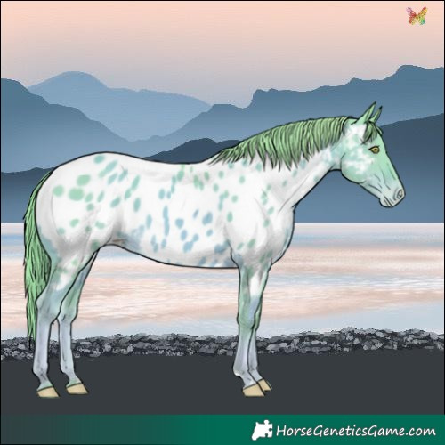 Horse Color:Watercolor Gold Champagne Blanket 