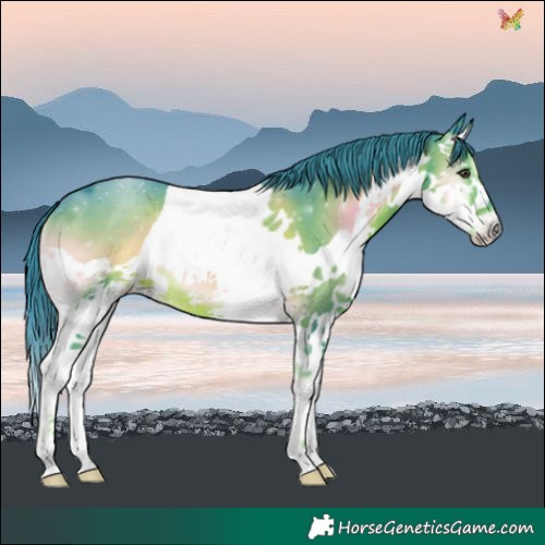 Horse Color:Watercolor Liver Red Onyx Splash