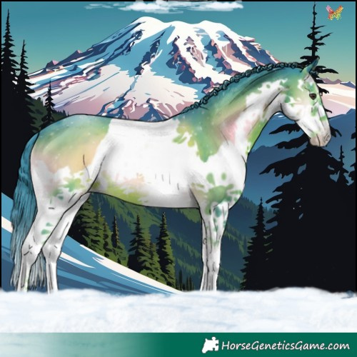 Horse Color:Watercolor Liver Red Onyx Splash 