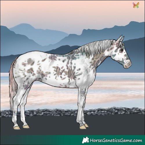 Horse Color:Watercolor White Spotted Silver Brown Ice Onyx Splash Blanket 
