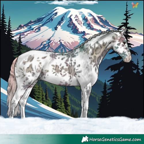 Horse Color:Watercolor White Spotted Silver Brown Ice Onyx Splash Appaloosa