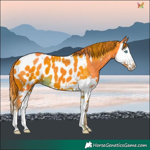 Horse Color:Watercolor Liver Chestnut Splash Blanket 