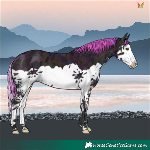 Horse Color:Watercolor Midnight Gold Champagne Ice Onyx Splash