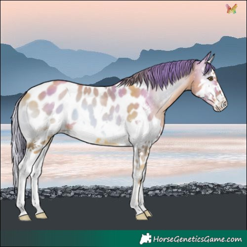 Horse Color:Watercolor Gold Champagne Onyx Splash Blanket