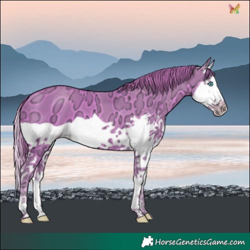Horse Color:Watercolor Gold Champagne Ice Splash