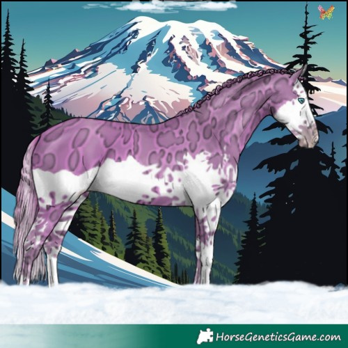 Horse Color:Watercolor Gold Champagne Ice Splash 