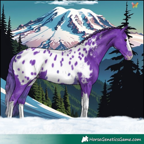 Horse Color:Watercolor Black Splash Tobiano Appaloosa 