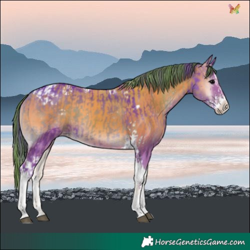 Horse Color:Watercolor Blue Onyx Splash Tobiano  and Watercolor Classic Champagne Onyx Splash Tobiano 