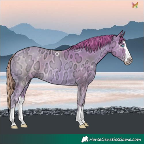 Horse Color:Watercolor Gold Champagne Ice Splash 