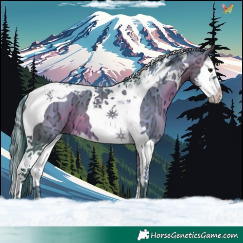 Horse Color:Watercolor Brown Ice Splash Tobiano Appaloosa