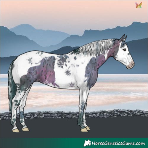 Horse Color:Watercolor Brown Ice Splash Tobiano Blanket