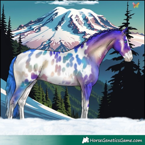 Horse Color:Watercolor Liver Red Onyx Splash Appaloosa 
