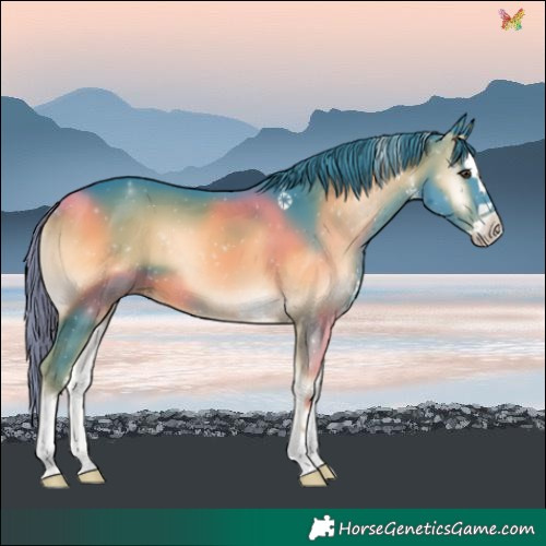 Horse Color:Watercolor Liver Red Onyx Splash 
