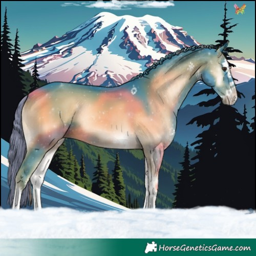 Horse Color:Watercolor Liver Red Onyx Splash 