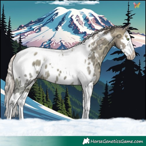 Horse Color:Watercolor Silver Sable Champagne Ice Splash Tobiano Appaloosa 