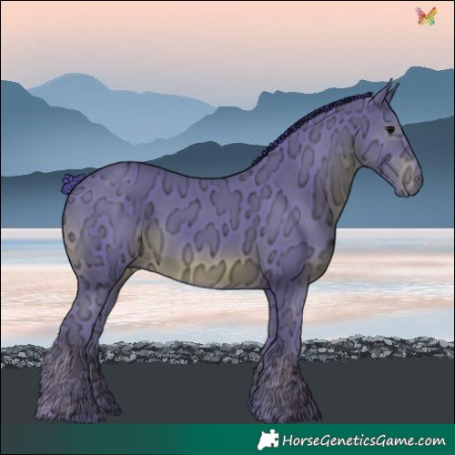 Horse Color:Watercolor White Spotted Black Ice