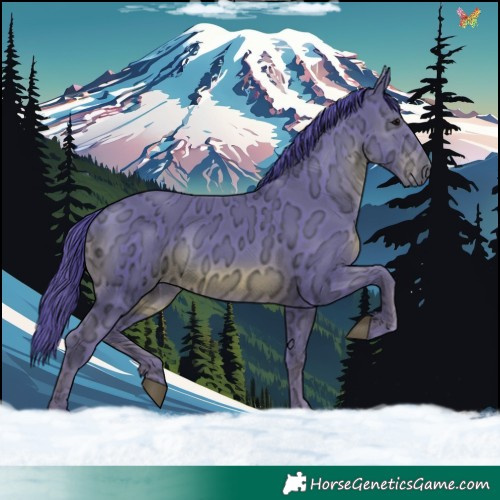 Horse Color:Watercolor White Spotted Black Ice 