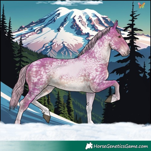 Horse Color:Watercolor Chocolate Palomino Ice 