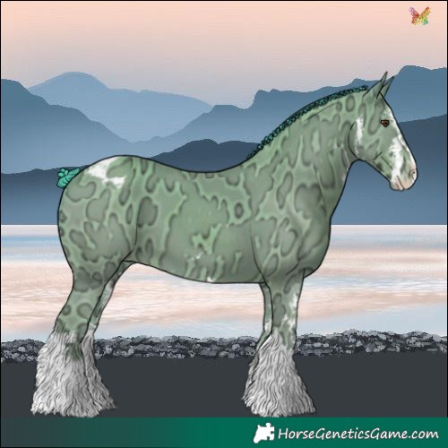 Horse Color:Watercolor White Spotted Classic Champagne Ice Varnish 
