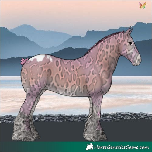 Horse Color:Watercolor White Spotted Blue Onyx Ice Varnish