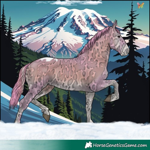Horse Color:Watercolor White Spotted Blue Onyx Ice Appaloosa 