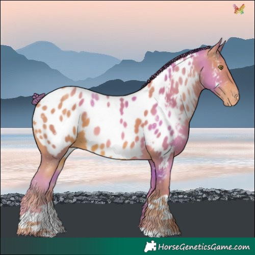 Horse Color:Watercolor Gold Champagne Near Leopard 