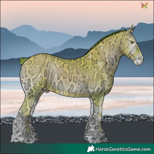Horse Color:Watercolor Gold Champagne Ice Onyx Varnish