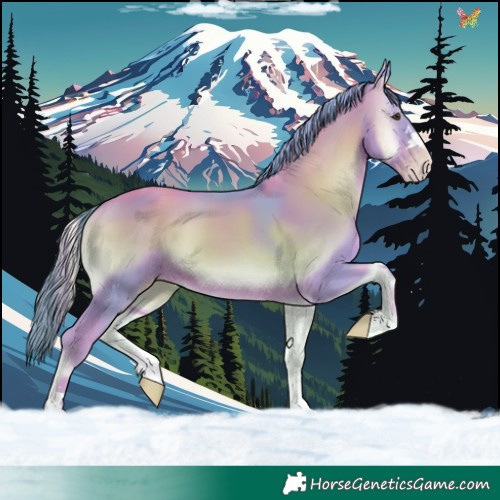 Horse Color:Watercolor Gold Champagne Onyx 