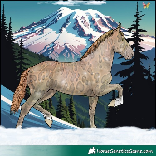Horse Color:Watercolor Gold Champagne Ice