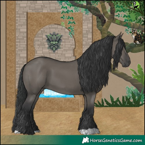 Horse Color:Grullo 