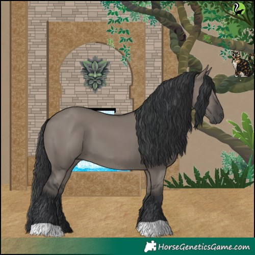 Horse Color:Grullo 