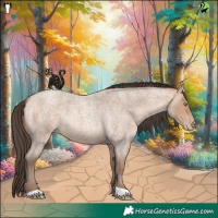 Horse Color:Amber Champagne Roan 