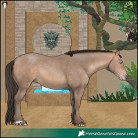 Horse Color:Amber Champagne