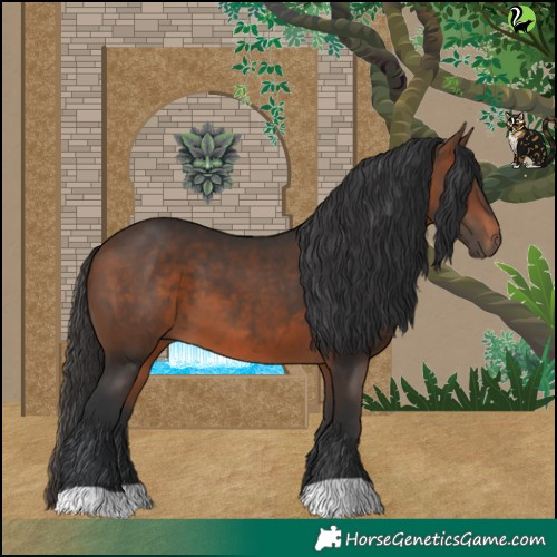Horse Color:Brown 