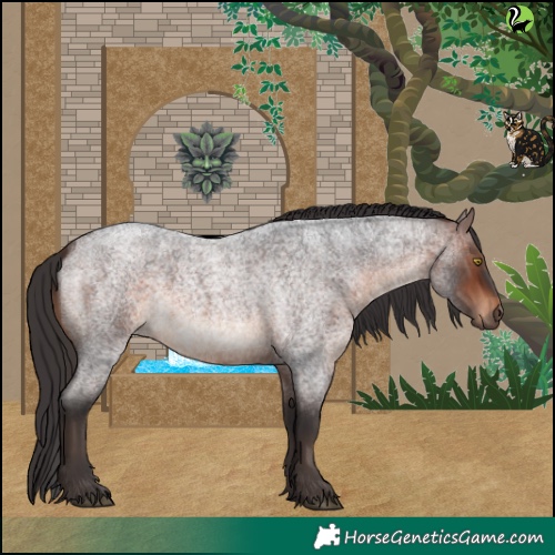 Horse Color:Brown Roan