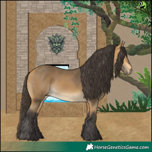 Horse Color:Buckskin