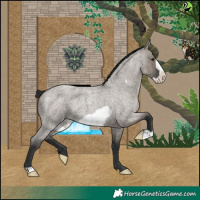 Horse Color:Grullo Roan Frame Rabicano