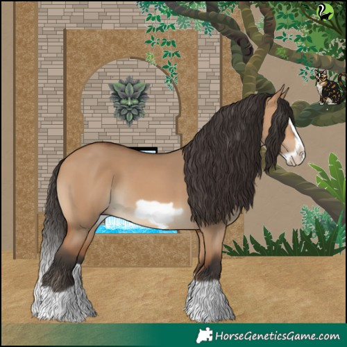 Horse Color:Bay Dun Splash Frame