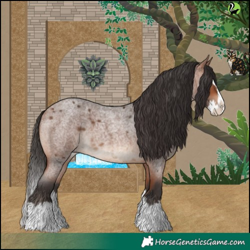 Horse Color:Bay Roan Splash 