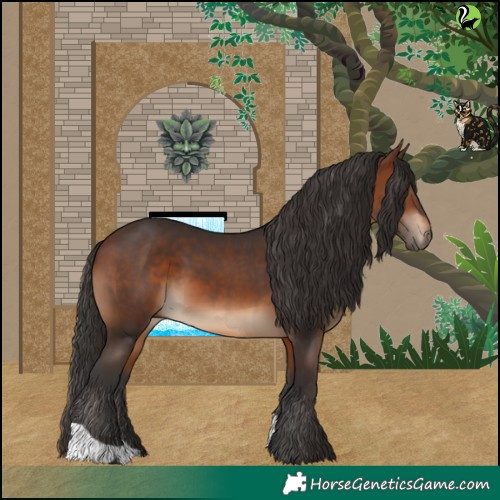 Horse Color:Brown 