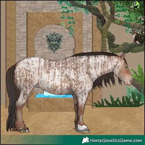 Horse Color:Sable Champagne and Sable Champagne Roan