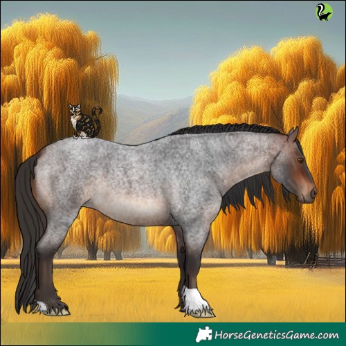Horse Color:Brown Roan