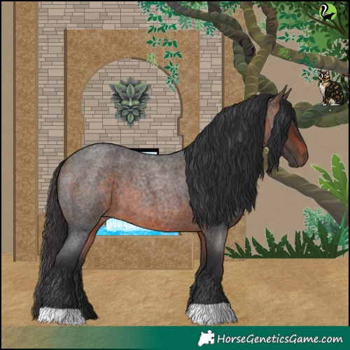 Horse Color:Brown Roan 