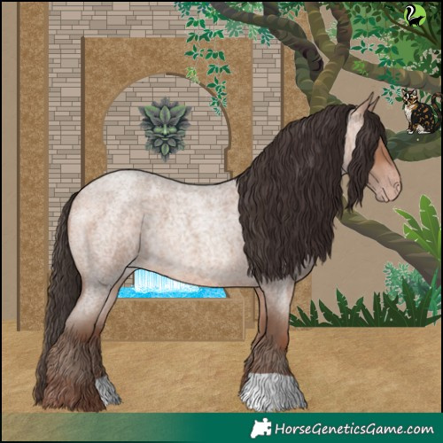 Horse Color:Sable Champagne Roan 