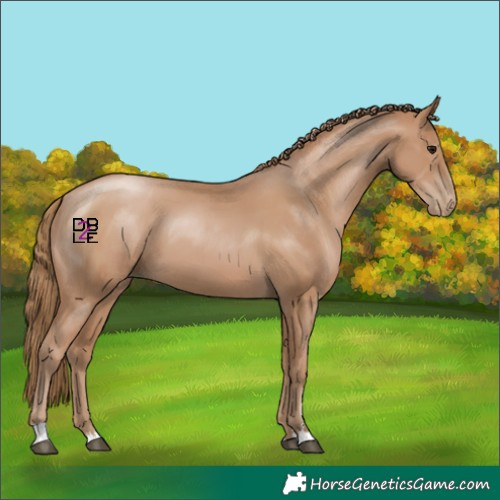 Horse Color:Black Pearl 